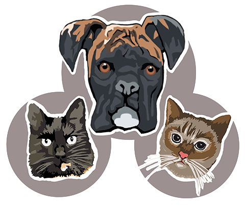 logo-clinica-veterinaria-muxkilda