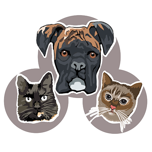 logo-clinica-veterinaria-muxkilda